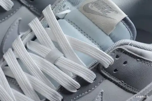 Dunk Tone Two NNike Low DJ6188-001 Grey 0608